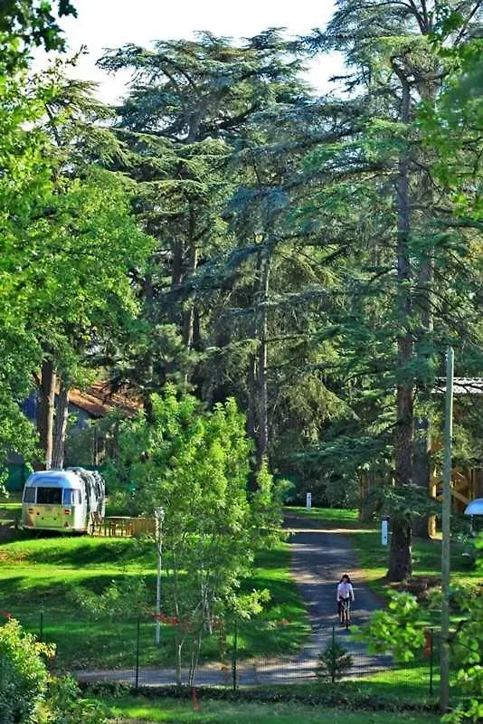 Camping - Piscine - Ef0Fdd Albi France