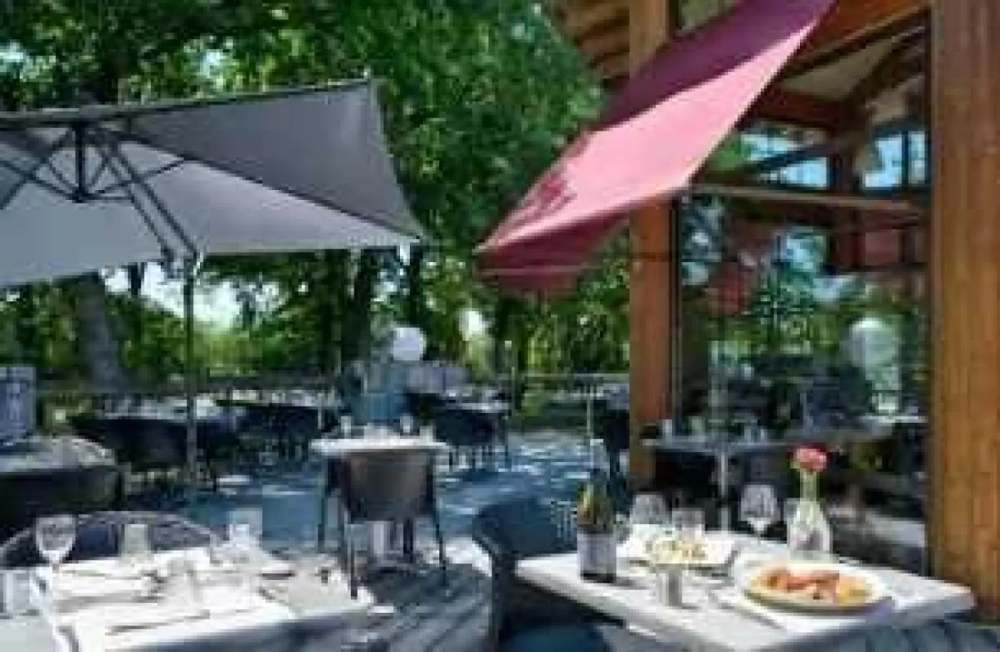 Camping Chalet 4 Etoiles - Piscine - Ef0Cca Albi France