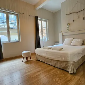 Le Patio St Etienne - Hypercentre - Parking Appartement